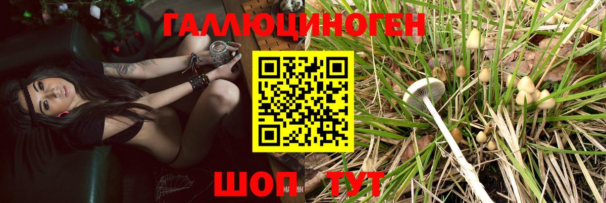 Таганрог  закладка  Псилоцибиновые грибы MAGIC MUSHROOMS  Вход с VPN  Галлюциногенные грибы Magic Shrooms 